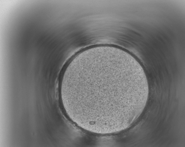 X0000066961126200604071957