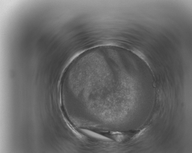 X0000066961127200604071957