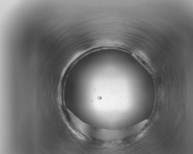 X0000066961128200604071957