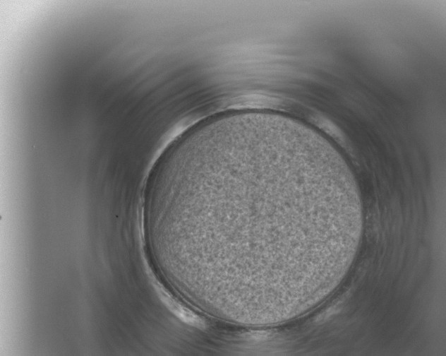 X0000066961130200604071957