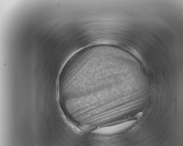 X0000066961132200604071957