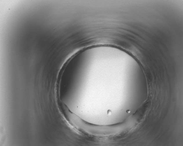 X0000066961134200604071957