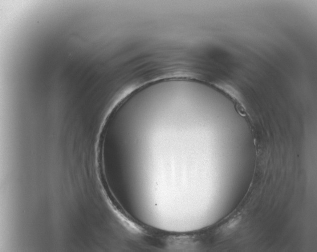 X0000066961135200604071957