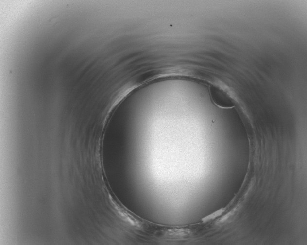 X0000066961137200604071957