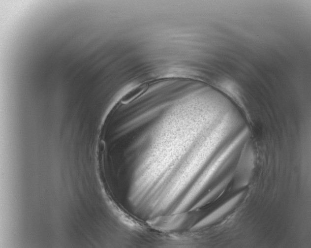 X0000066961138200604071957