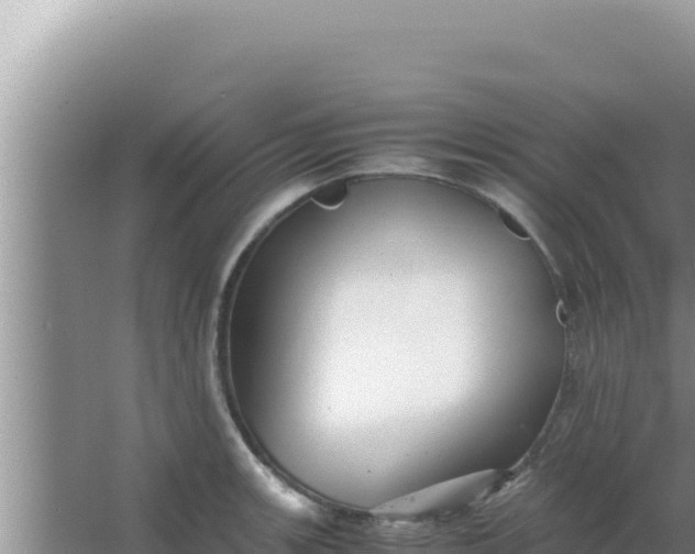 X0000066961139200604071957