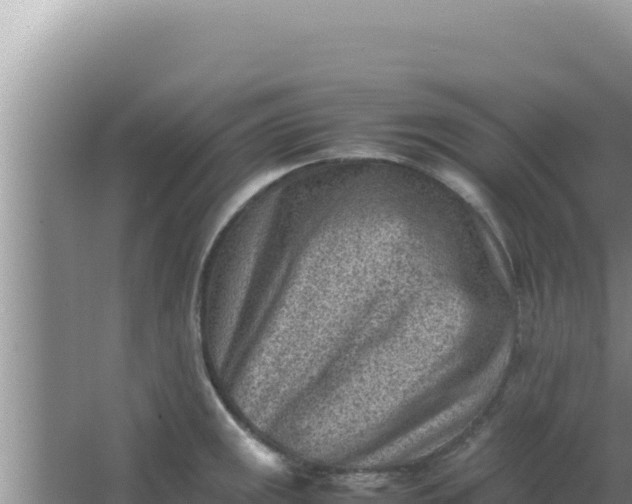 X0000066961141200604071957