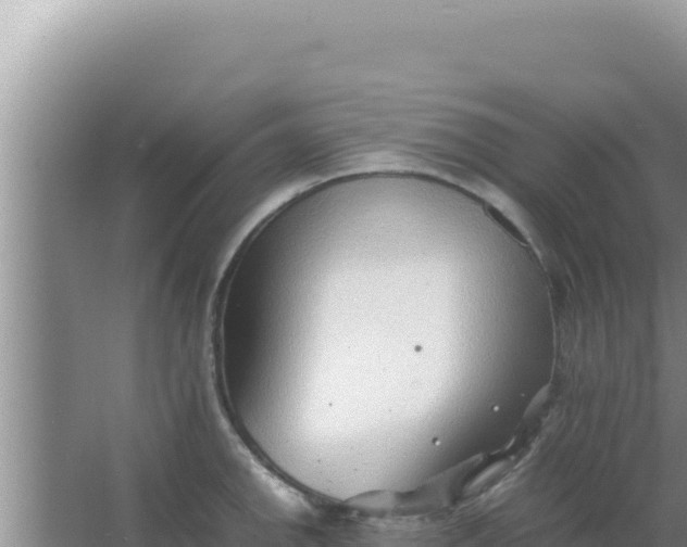 X0000066961142200604071957