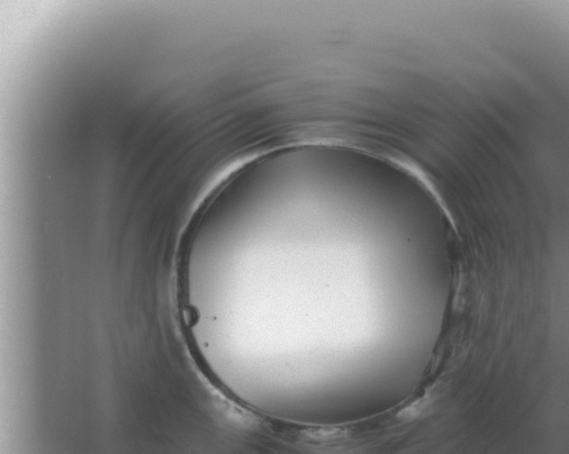 X0000066961147200604071958