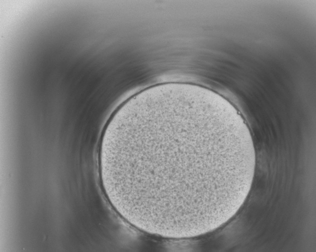 X0000066961150200604071958