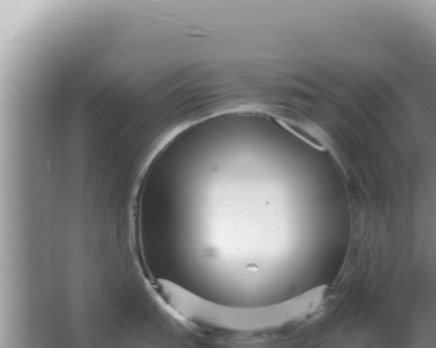 X0000066961151200604071958