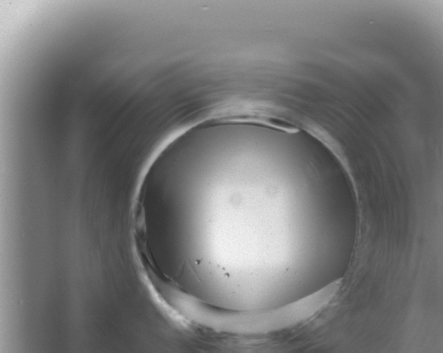 X0000066961152200604071958