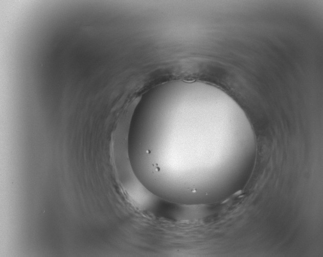 X0000066961153200604071957