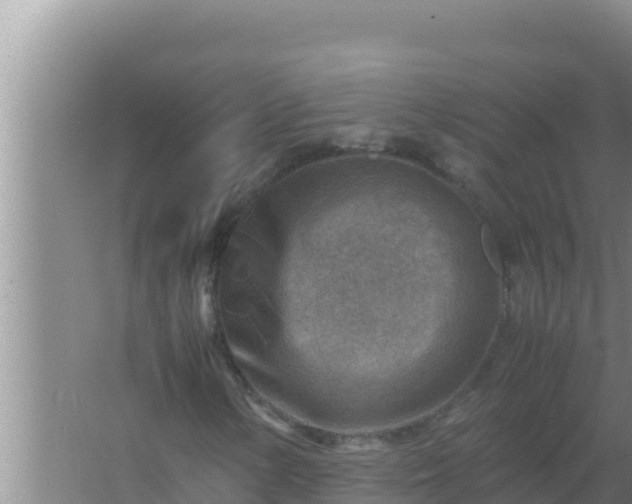 X0000066961154200604071957