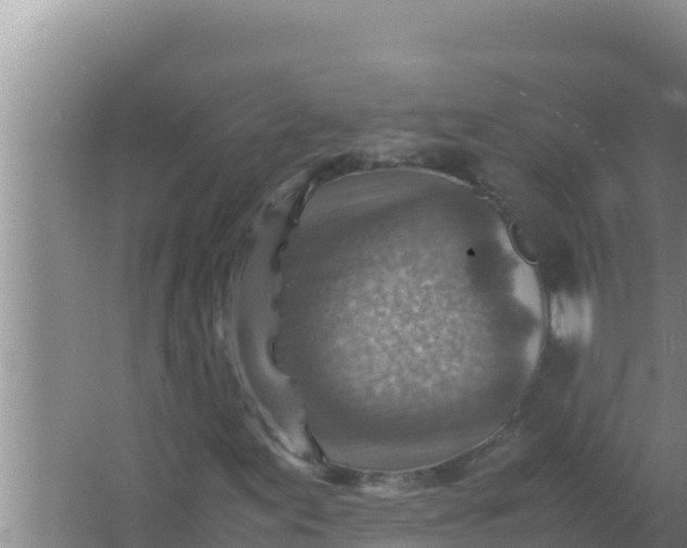 X0000066961155200604071957