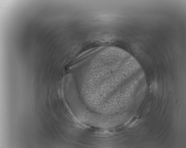 X0000066961156200604071957