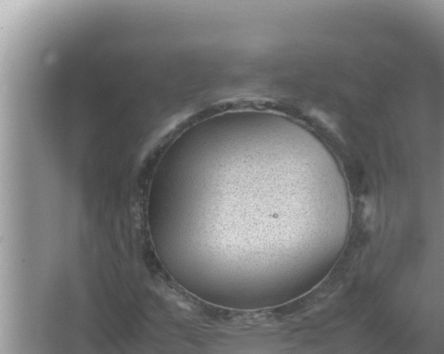 X0000066961159200604071957