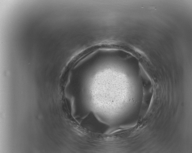 X0000066961160200604071957