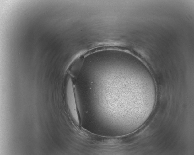 X0000066961163200604071957