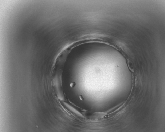 X0000066961164200604071957