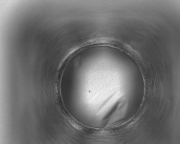 X0000066961166200604071957