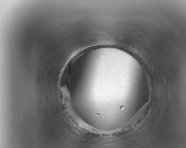 X0000066961168200604071957