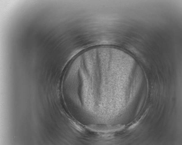 X0000066961170200604071957