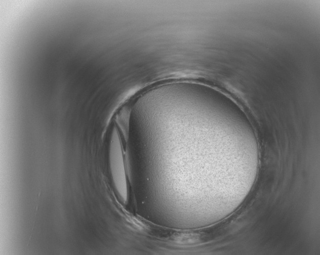 X0000066961171200604071957