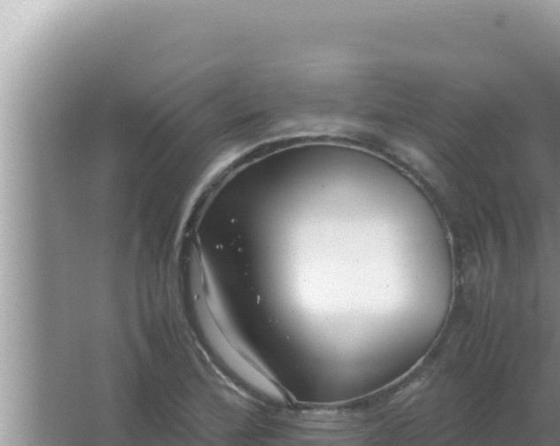 X0000066961172200604071957