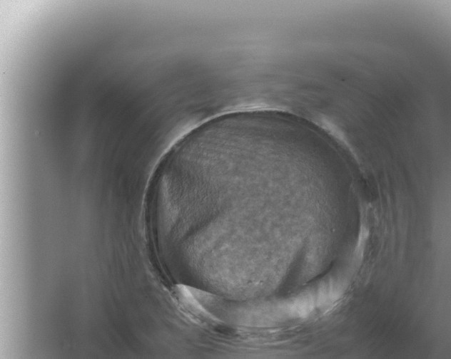 X0000066961173200604071956