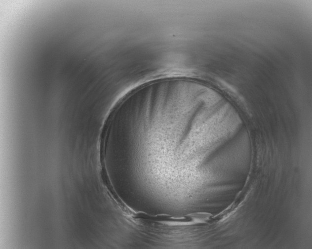 X0000066961174200604071956