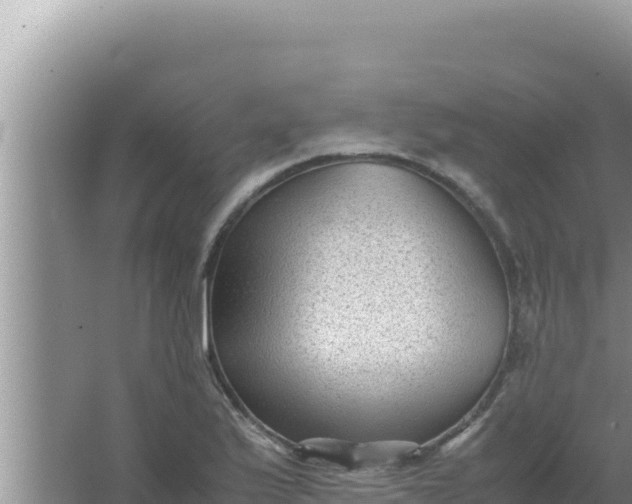 X0000066961175200604071956