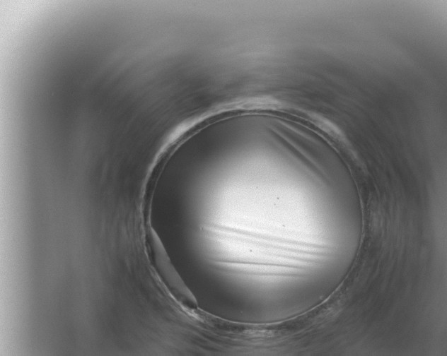 X0000066961176200604071956