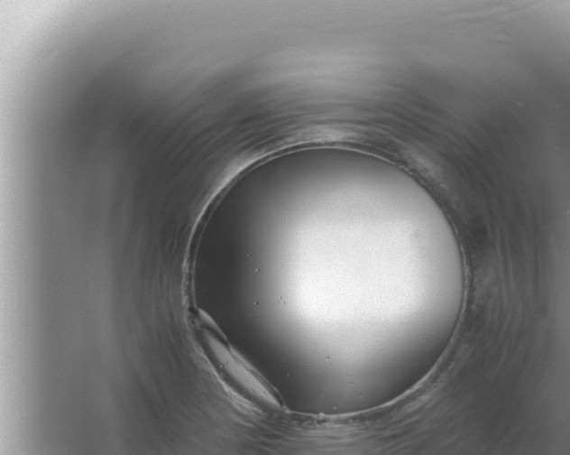 X0000066961178200604071956