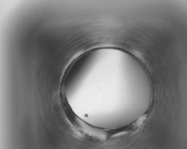 X0000066961181200604071956