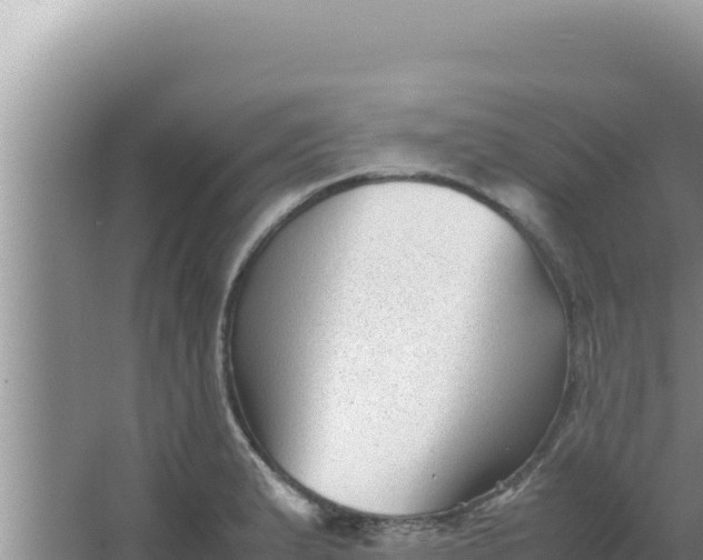 X0000066961183200604071956