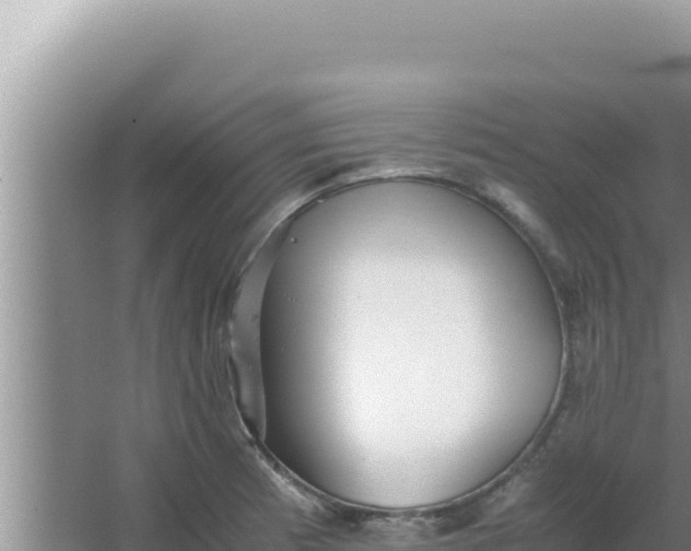 X0000066961185200604071956