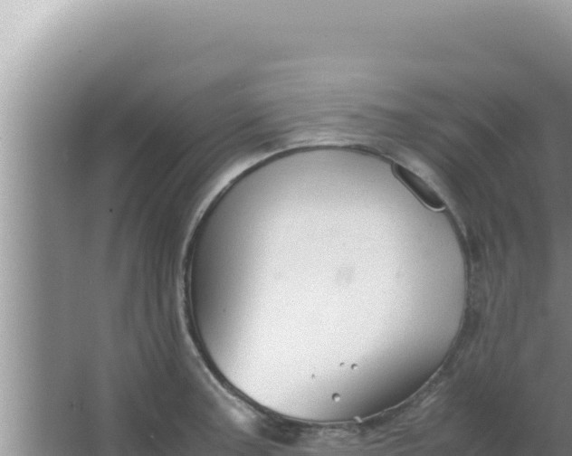 X0000066961187200604071956