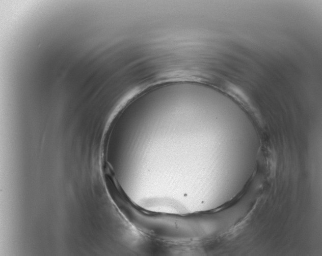 X0000066961188200604071956