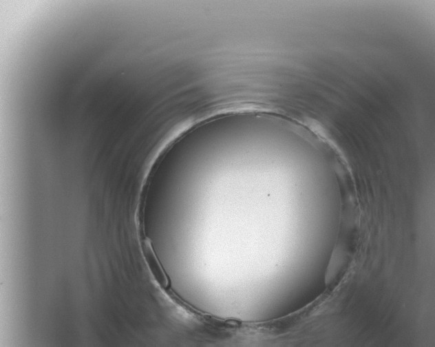 X0000066961189200604071956