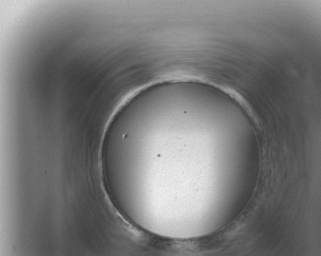 X0000066961191200604071956