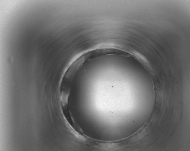 X0000066961192200604071956