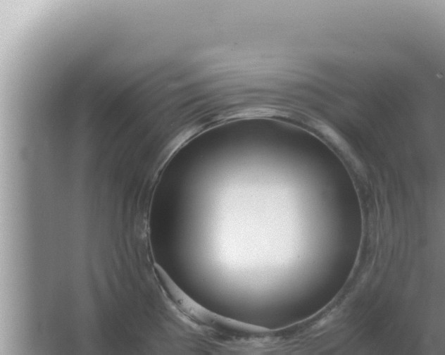 X0000066961193200604071956