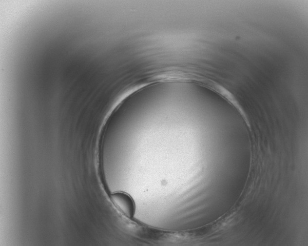 X0000066961195200604071956