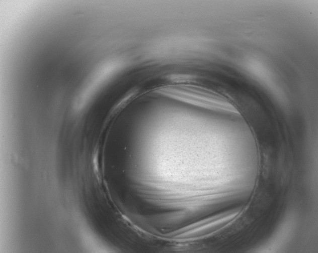 X0000066961198200604071956