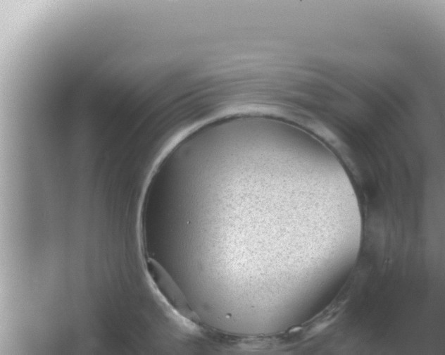 X0000066961199200604071956