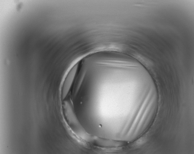 X0000066961200200604071956