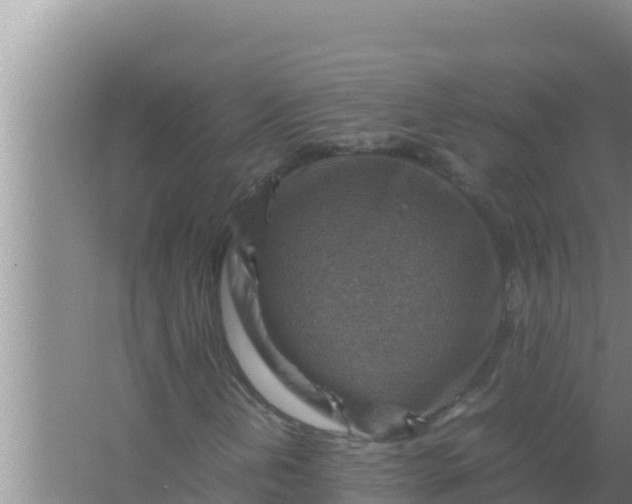 X0000066961202200604071955