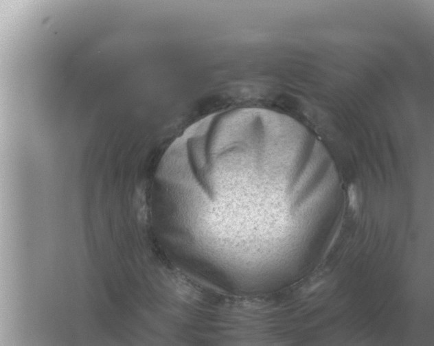 X0000066961203200604071955