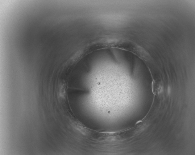 X0000066961204200604071955